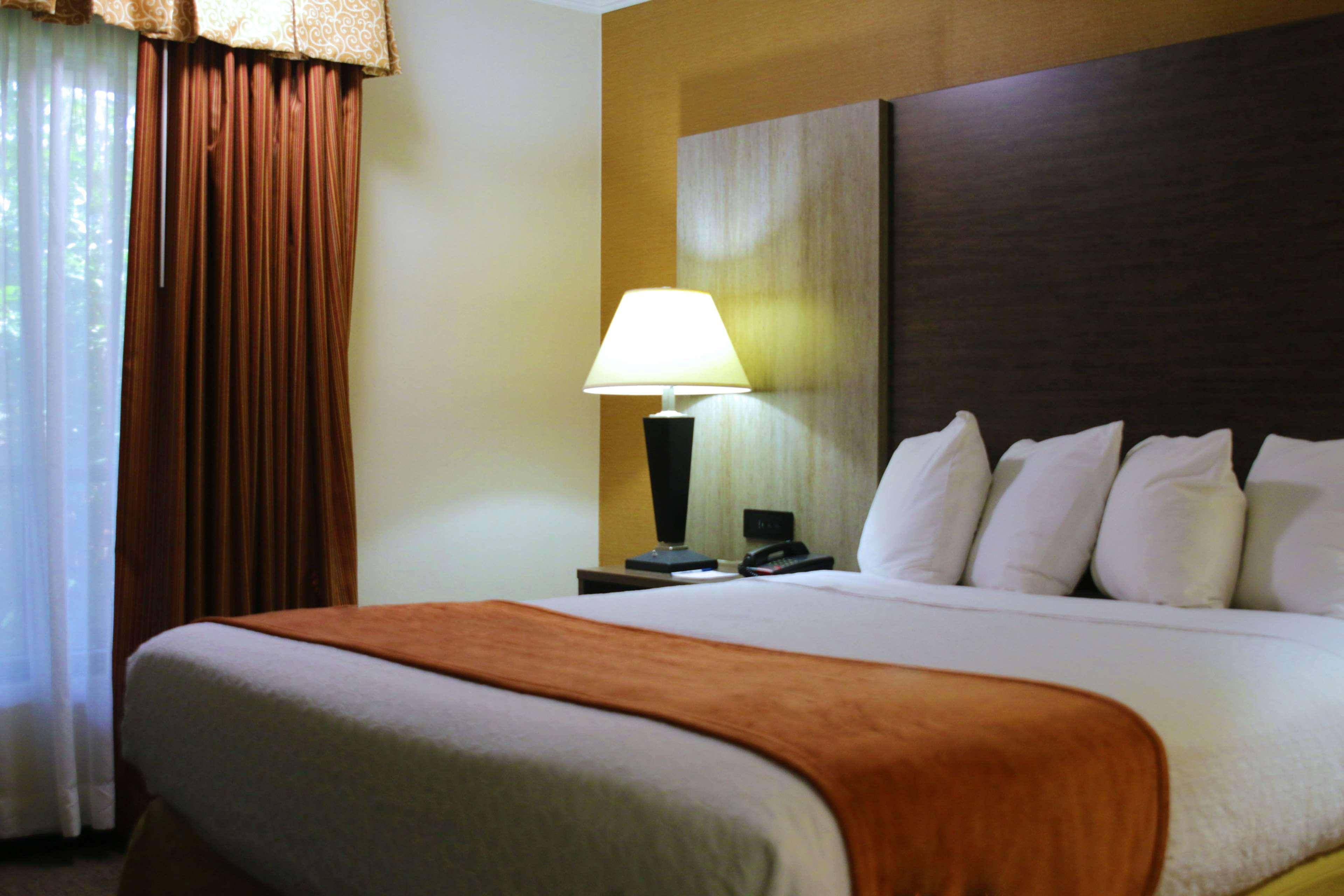 Best Western Galleria Inn & Suites Cheektowaga Exteriör bild